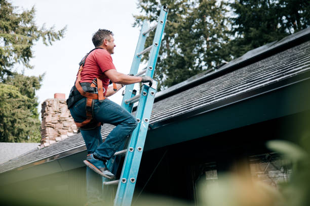 Best Roof Moss and Algae Removal  in Fabens, TX