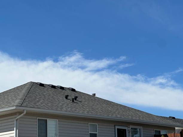Roof Coating Services in Fabens, TX